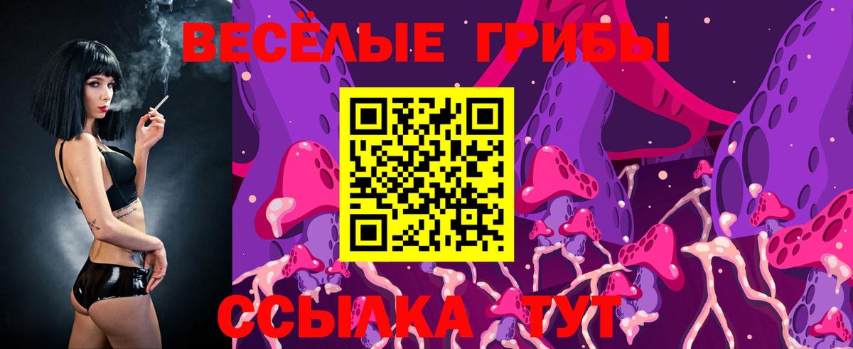 Волоколамск  Галлюциногенные грибы Psilocybine cubensis  Вход с VPN 